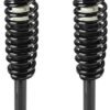 Suspension Strut and Coil Spring Assembly DETROIT AXLE 172123R 10 245.jpg