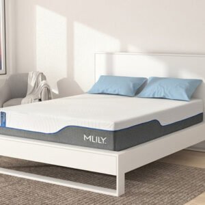 2026 product 0000 wellflex.jpg