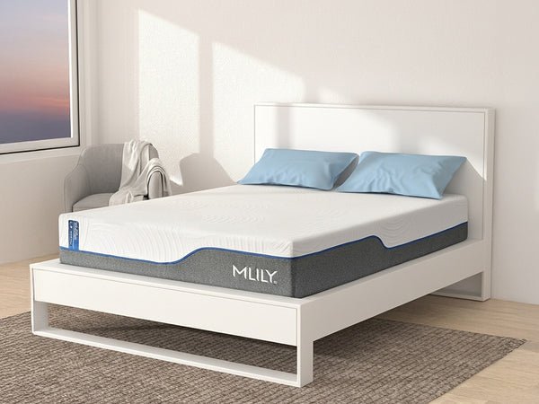2026 product 0000 wellflex.jpg 2026 product 0000 wellflex.jpg