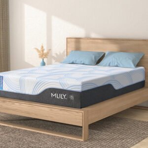 2026 product 0001 wellflexice c91f85fe 6199 4be1 a38c 64520a8d1522.jpg