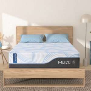 welflex ice 8504a477 b8dd 4cdf 8a80 7fb08d2e608e 1.jpg