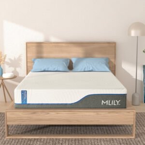 welflex 65db872f 90f4 4087 8b1f ea852e2606cb.jpg