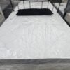 Regal Cloud 12 Pocket King 250.jpg