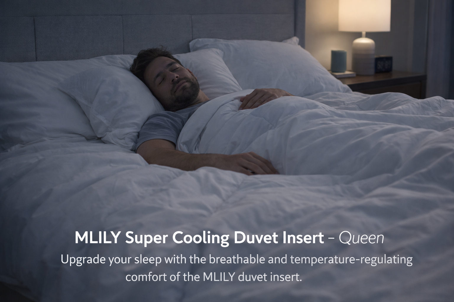 mlily duvet insert 2.png mlily duvet insert 2.png